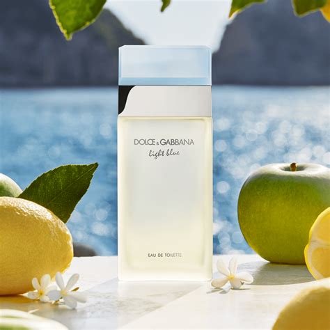 light blue dolce gabbana mujer